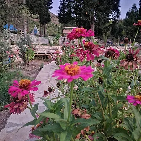 Olympos Turkuaz Apart Ve Camping Çıralı